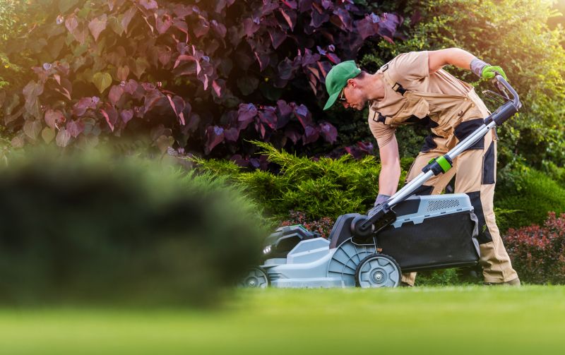 Specialized Lawn Care Services